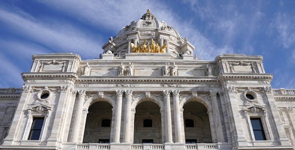 The sports advocacy group Let them Play MN has been denied in its request to protest outside of the Minnesota state capitol building.
