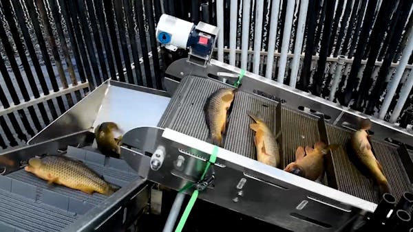 New technology for invasive carp removal during spring migrations