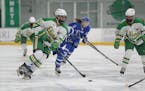 Edina’s Emma Conner (16) carries the puck into the offensive zone against Minnetonka Tuesday night. Conner had a goal in the Hornets’ 3-2 victory 