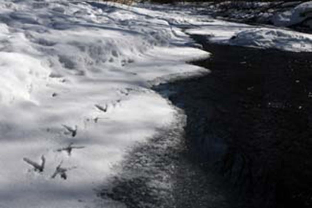 Slaght and fellow researchers would follow owl tracks down frozen rivers.