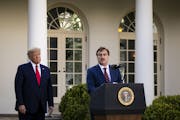 MyPillow CEO Mike Lindell, shown speaking at the White House in March 2020, has openly invited the lawsuit from Dominion.