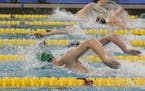 Swimmers compete in the state meet.