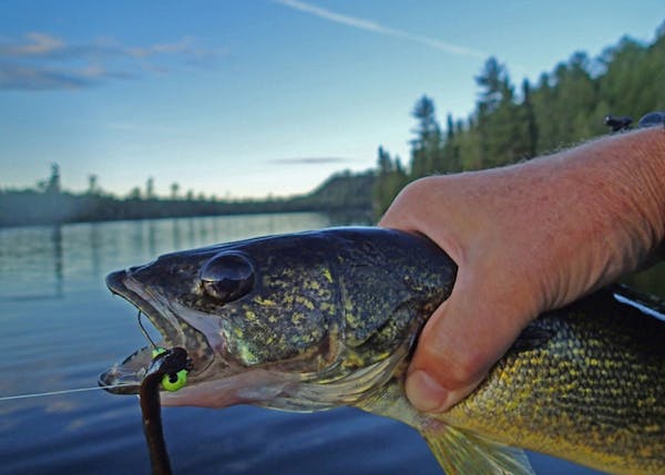 Lead jigs and other tackle made of the material are used each year by hundreds of thousands of Minnesota anglers, and a significant amount of that tac