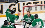 Fab 50 on ice: Meet the boys' hockey state tournament players to watch