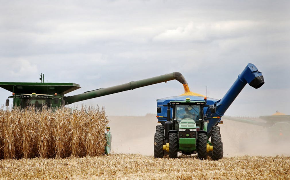 Minnesota farmers had most profitable year since 2012, extension data confirm - Minneapolis Star Tribune