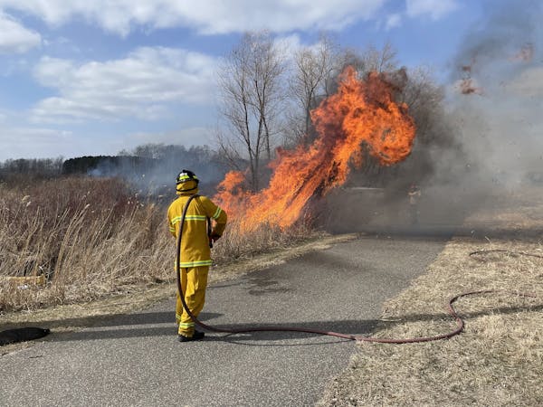The Lino Lakes Public Safety Department believes a cigarette thrown from a car window started a fire spanning 118 acres.