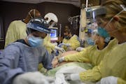 Critical care nurses and respiratory therapists prepared to supine a proned patient at North Memorial Health Hospital in December.    ] AARON LAVINSKY