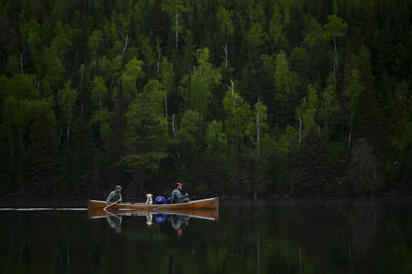 Tony Jones, his dog Crosby, and Bob Timmons paddled from Mountain Lake toward their portages to Moose Lake in 2019. Aaron Lavinsky • aaron.lavinsky@