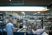 The ablation catheter manufacturing clean room at Abbott Labs in Plymouth, where workers get COVID-19 tests weekly so they can feel safe working side-