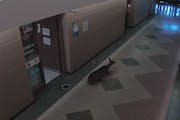 A deer crashed through the nurse’s office, before making its way into the main hallway and out the front door.