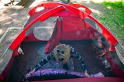 Meghan Wellner prepared her bedding at her campsite in Jay Cooke State Park in Carlton, Minn.