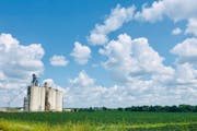 Grain farmers will meet with the officials from the Minnesota Department of Agriculture this week to discuss the effect of the bankruptcy of Fridley-b