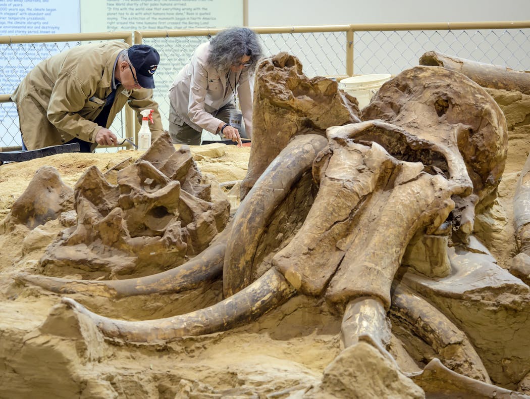 Mammoth Site (Credit: Travel South Dakota)