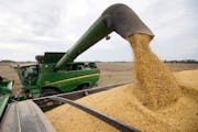 Minnesota saw sizable growth in state exports to some regions, including a 34% jump in Africa, thanks largely to a surge in wheat exports to Ethiopia.