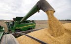 Minnesota saw sizable growth in state exports to some regions, including a 34% jump in Africa, thanks largely to a surge in wheat exports to Ethiopia.
