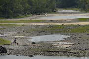 A woman and children explored a dried-up channel of the Mississippi River in Mississippi Gateway Regional Park in Brooklyn Park on Tuesday, amid the o