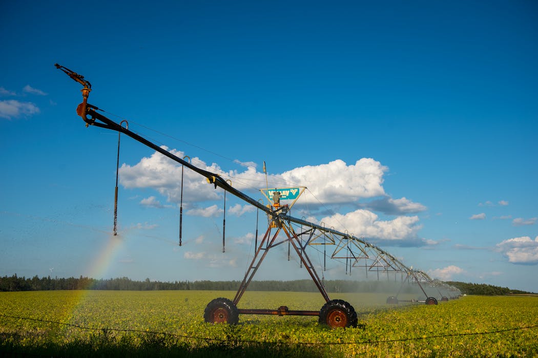 A pivot irrigation system sprayed water onto a soybean crop just south of Park Rapids in 2016.