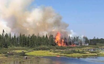 Flames rose as part of a defensive burn-out operation on the Greenwood fire in the Superior National Forest on Aug. 22.