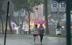 Fairgoers weathered a heavy rainstorm Thursday afternoon at the Minnesota State Fair in Falcon Heights.