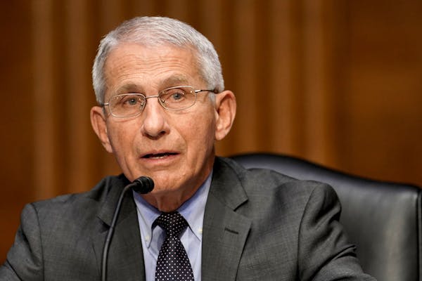 Dr. Anthony Fauci, director of the National Institute of Allergy and Infectious Diseases, shown in May.