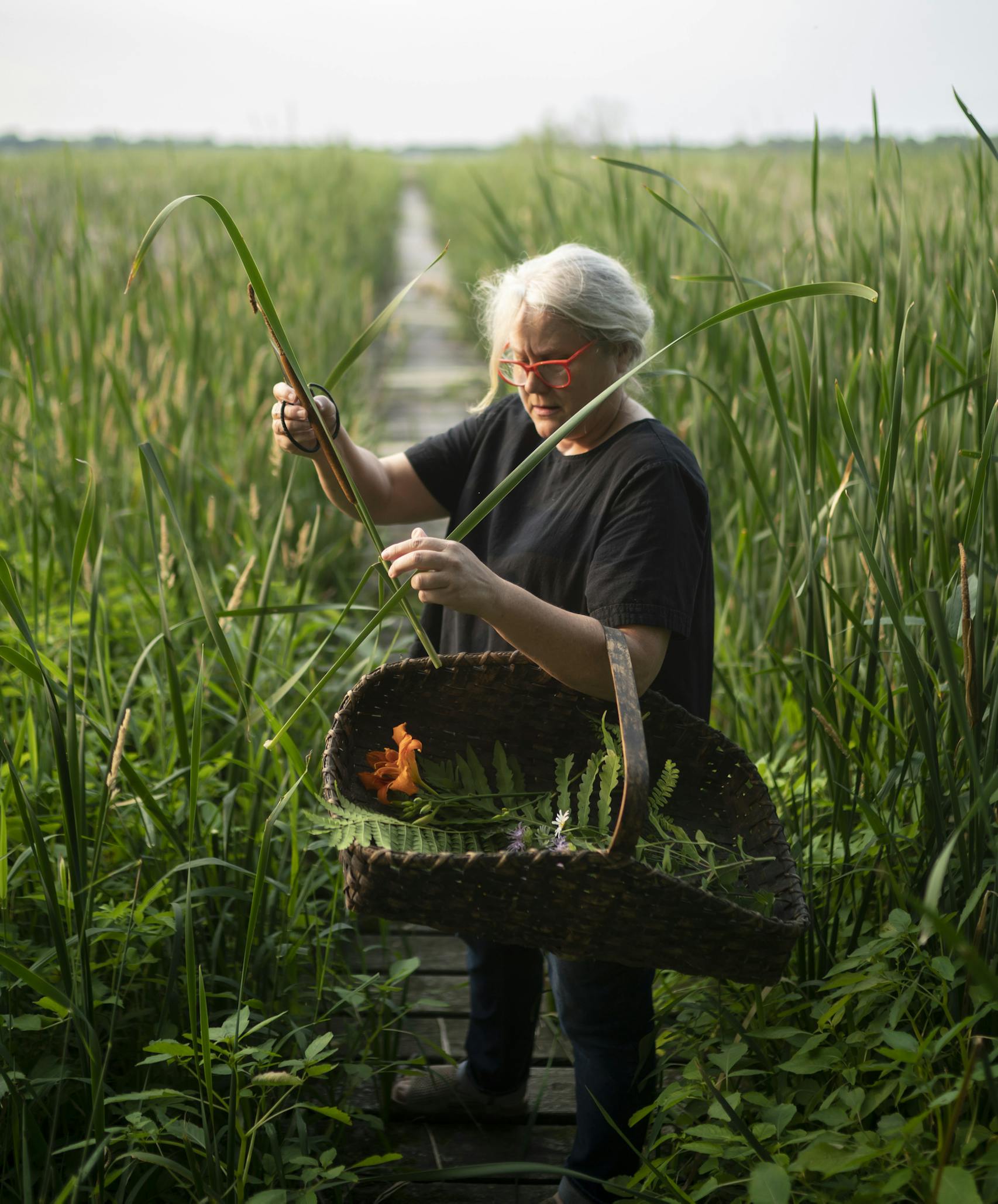 For 10 years, Mary Jo Hoffman has been finding the beauty in nature and photographing it.