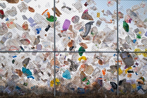 After days of high winds, thousands of plastic bags from the Waste Management landfill in Elk River were trapped on the landfill’s perimeter fence i