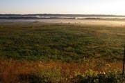 Fog hung over the tallgrass prairie in a view from the Seppmann Mill overlook, with the Minnesota River in the distant horizon.