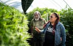 Angela Dawson and Harold Robinson stood in their hemp greenhouse. Together they run Forty Acre Co-op, a Black-owned farmers collective that aims to gi