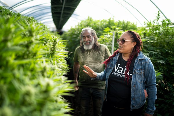 Angela Dawson and Harold Robinson stood in their hemp greenhouse. Together they run Forty Acre Co-op, a Black-owned farmers collective that aims to gi