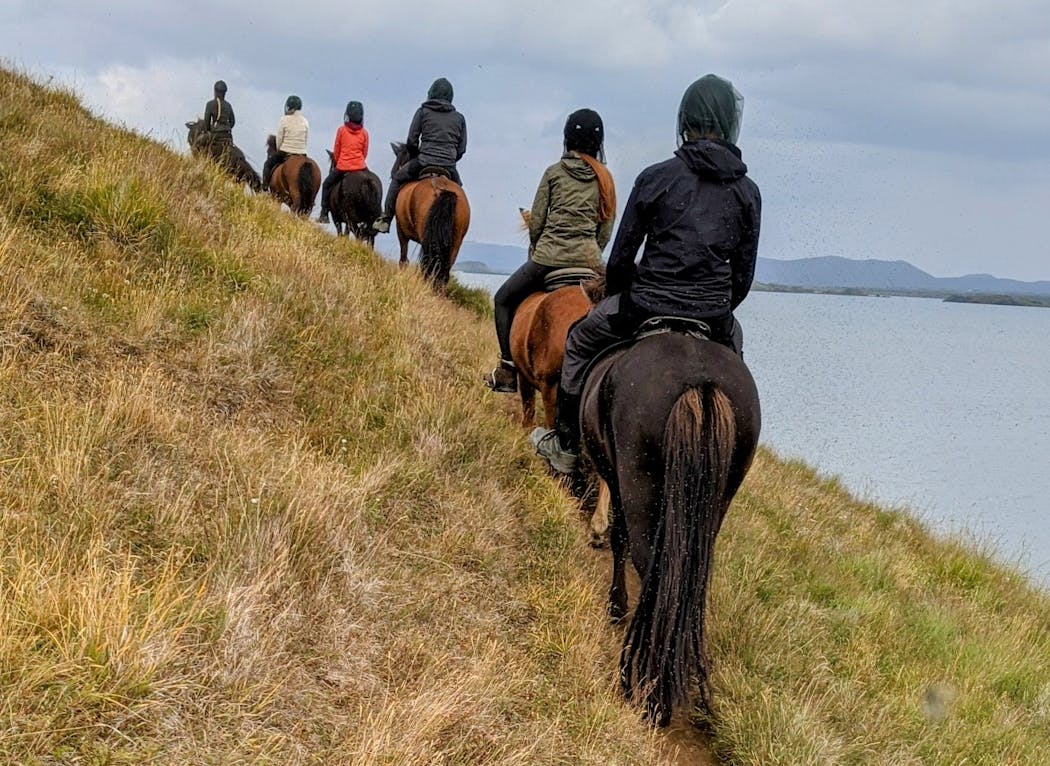 Riding Icelandic horses on a tour of Lake Myvatn.