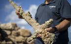 Jacob Sharvit, director of the marine archaeology unit of the Israel Antiquities Authority, held a sword that experts say dates back to the Crusades, 