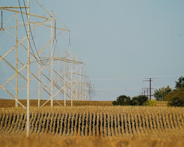 The regional grid operator has warned that there could be capacity problems if there is a big spike in demand. Shown are lines near Hampton along Rout