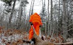 A review of Minnesota firearms hunting mishaps speaks to one thing: They can happen in any moment.