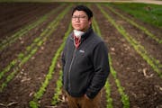 Janssen Hang is co-founder of the Hmong American Farmers Association (HAFA). 