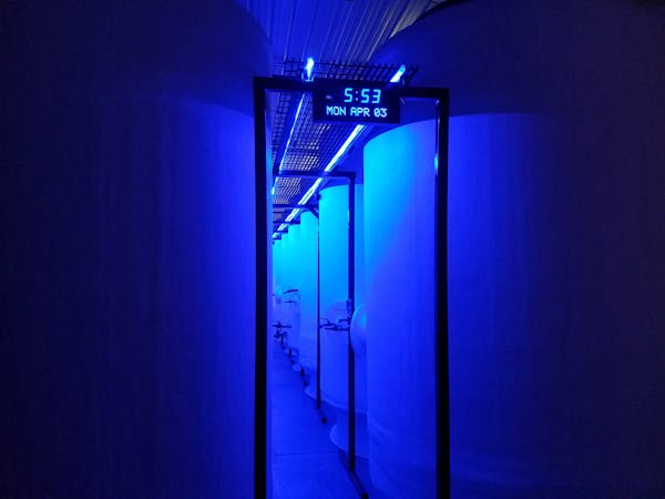 Bodies are preserved at minus 321 degrees Fahrenheit in “cryostats” at the Cryonics Institute in Michigan.