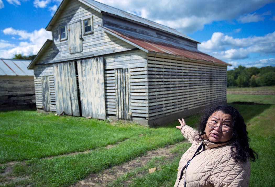 In 2014, Pakou Hang walked the 155-acre property in Dakota County that a benefactor bought and leased out to the Hmong American Farmers Association.