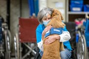 Helping Paws, which trains assistance dogs for people with the help of volunteers like Lorrie Kantar, has taken part in every Give to the Max Day.