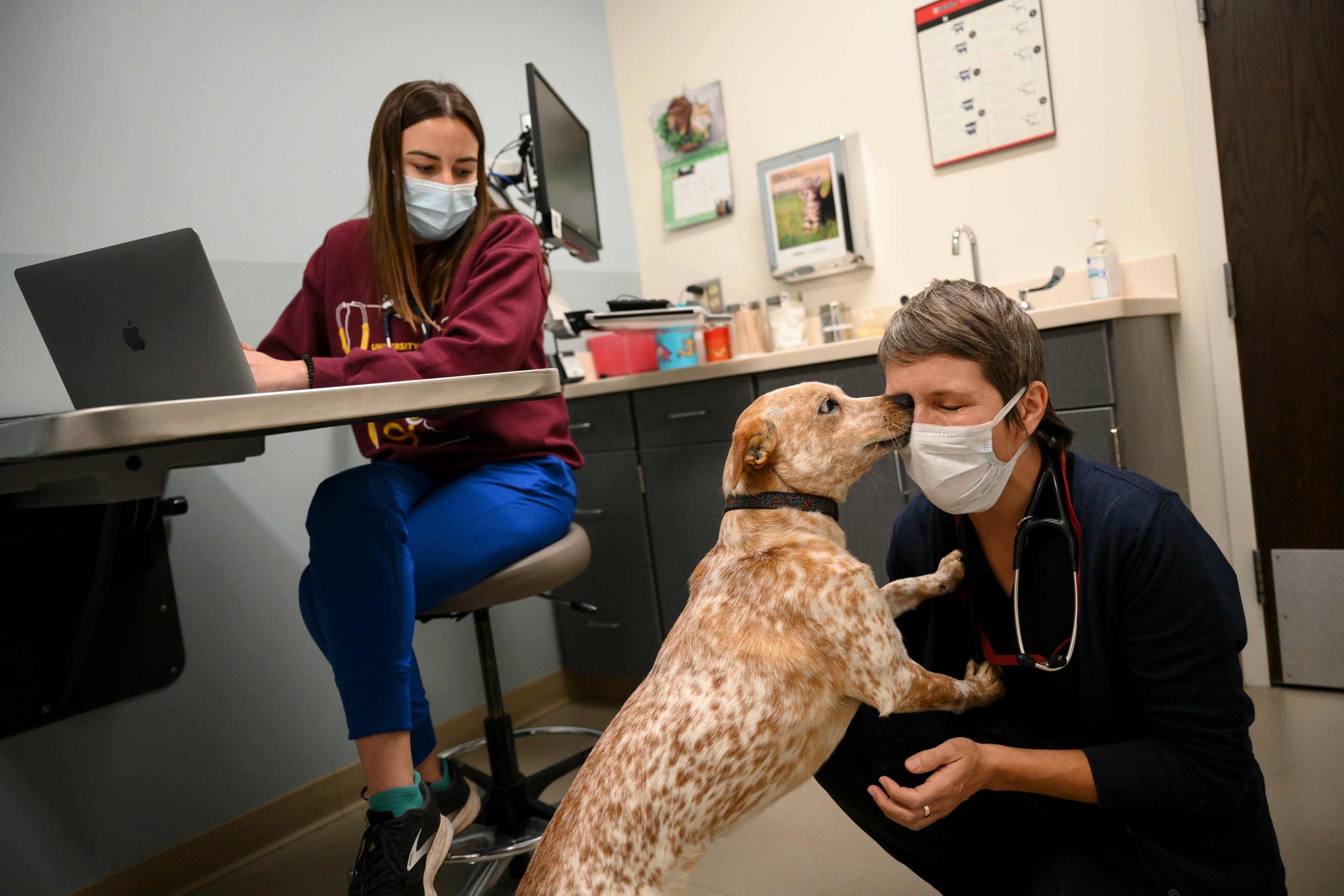 COVID pandemic takes a toll on Minnesota veterinary clinics