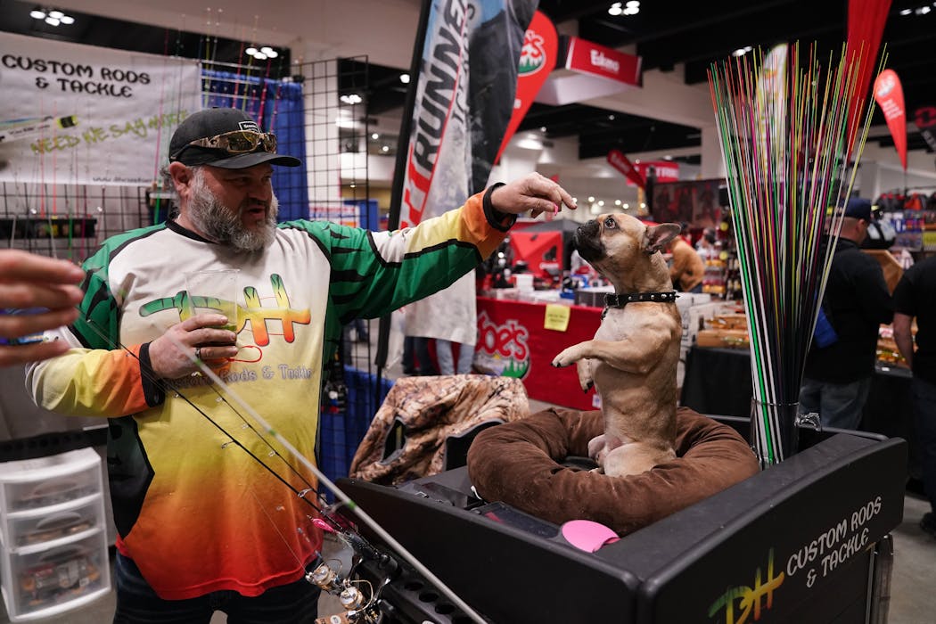 Knuckles Malone, a 2-year-old French bulldog sat up in his bed at the DH Custom Rods and Tackle booth as his and company owner Dusty Hafner held out a treat at the 2019 ice fishing show. ] ANTHONY SOUFFLE • anthony.souffle@startribune.com