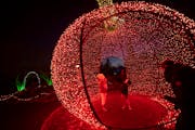 Lucy Carlson, 6, and her brother Wes Carlson, 6, of Hanover, walk through a giant apple of lights in the Winter Lights display at the Minnesota Landsc