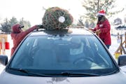 Toby Weiss and Jessica Blosberg tied a tree on the roof of Shaneka Kelly’s car at Krueger Christmas Tree Farm Wednesday, Dec. 8, 2021 in Lake Elmo, 