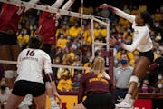 The last time Minnesota faced Wisconsin, they lost in five tense sets at Maturi Pavilion in Novemeber.