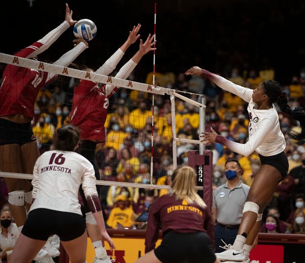 The last time Minnesota faced Wisconsin, they lost in five tense sets at Maturi Pavilion in Novemeber.