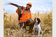 Steve Grooms wrote about pheasants and the upland-bird-hunting life.