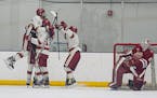 Maple Grove shuts out No. 1 Lakeville South in boys' hockey