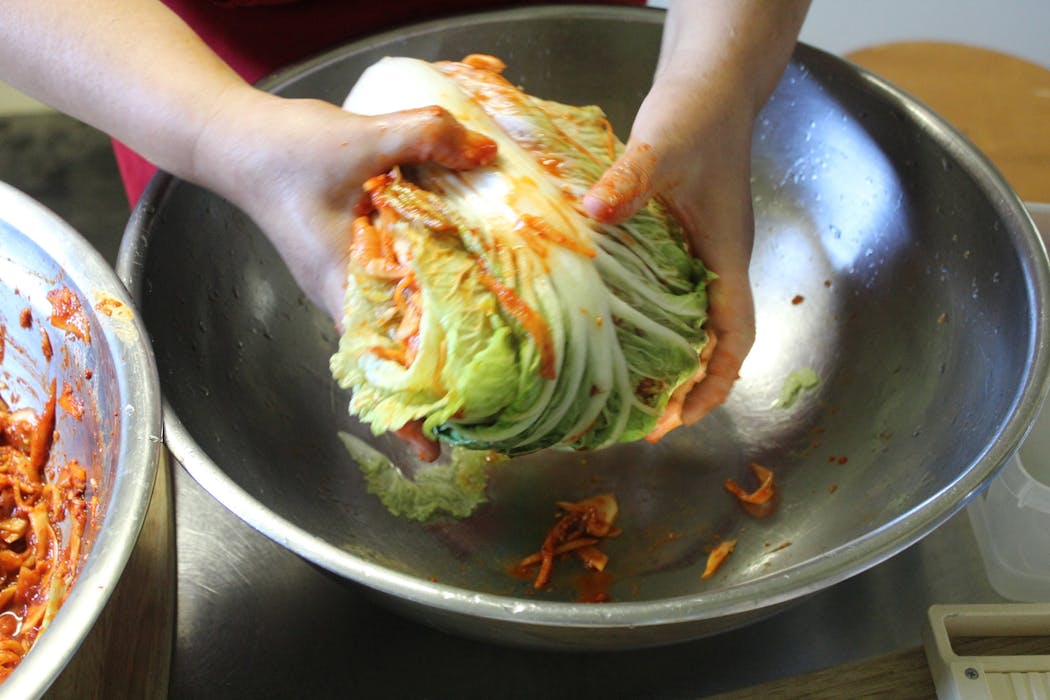 Traditional Korean kimchi starts with Napa cabbage.