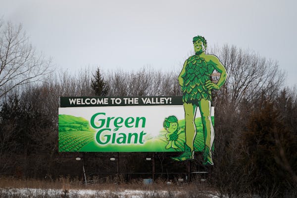 The refurbished Jolly Green Giant billboard greets drivers along Highway 169 in Le Sueur.