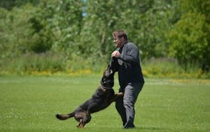 Police dog Kato of the Waite Park Police Department retired in 2016.