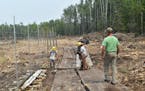 DNR crews work on the enclosure project last year in Beltrami County. The state reimbursed the county for the commercial value of the timber. Total co