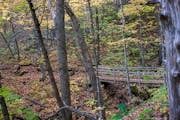 A foot bridge on a hiking trail at Beaver Creek Valley State Park in southeastern Minnesota.